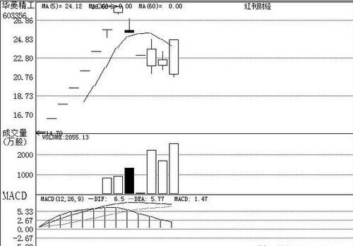 機(jī)構(gòu)關(guān)注個(gè)股之廣州軟件開發(fā) 創(chuàng)新驅(qū)動(dòng)與區(qū)域優(yōu)勢下的投資機(jī)遇